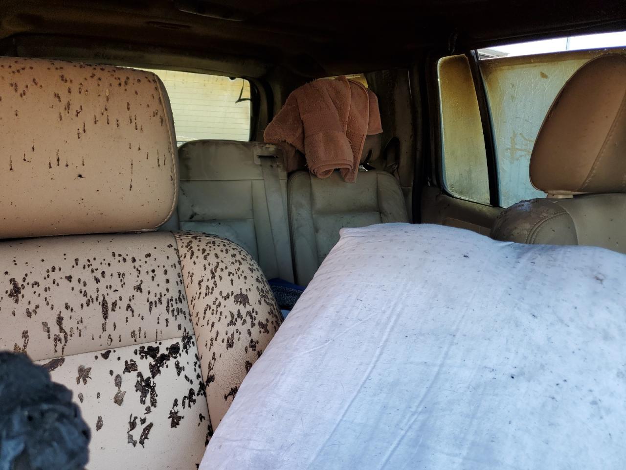 Lot #3302885935 2006 FORD EXPLORER X