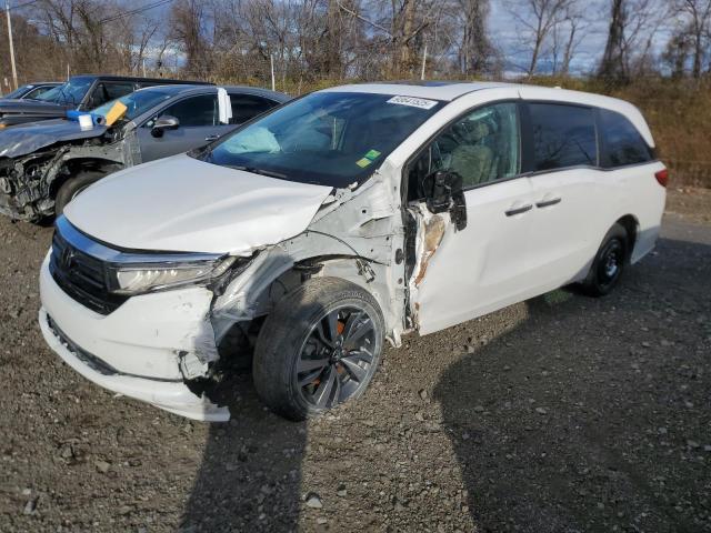 2023 HONDA ODYSSEY TO #3302647053