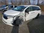 Lot #3302647053 2023 HONDA ODYSSEY TO
