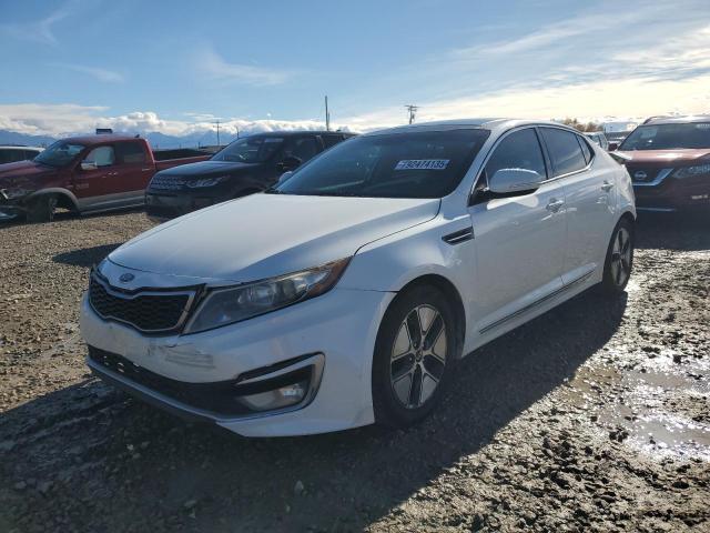 Global Auto Auctions: 2011 KIA OPTIMA HYB
