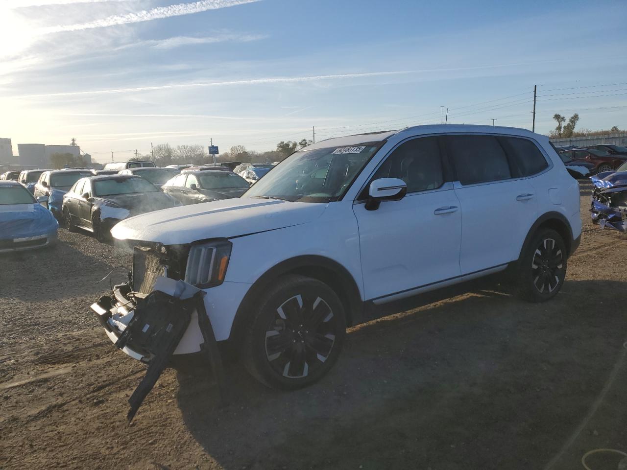 KIA TELLURIDE SX