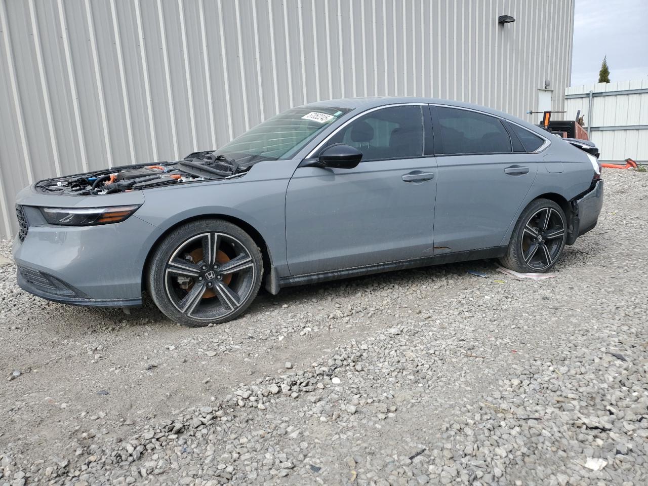 Lot #3293405052 2024 HONDA ACCORD HYB