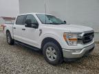 Lot #3305304347 2021 FORD F150 SUPER