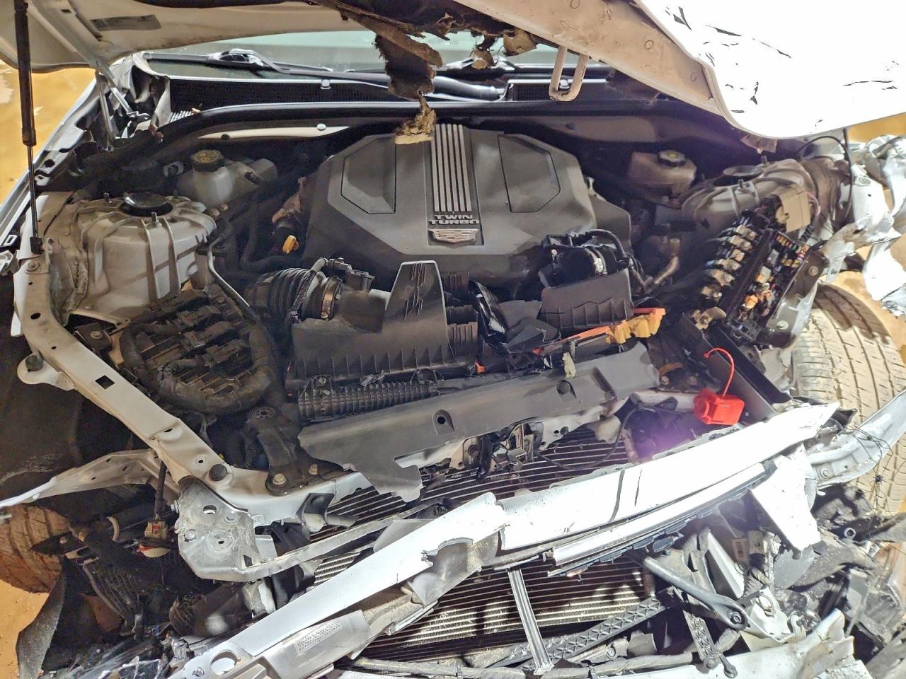 CADILLAC CT5 PREMIUM LUXURY SPECIAL EDITION