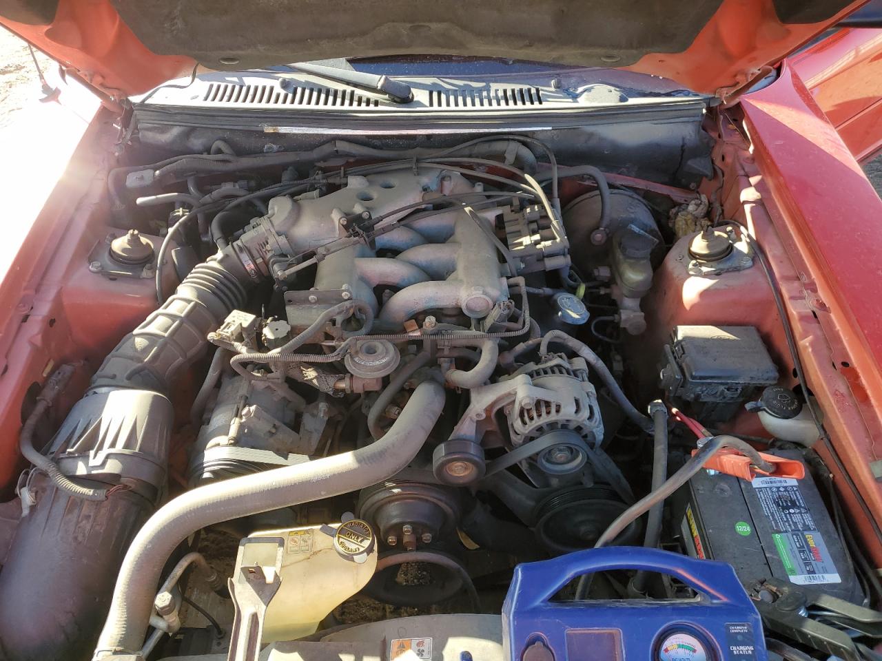 Lot #3302115154 2001 FORD MUSTANG