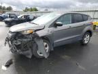 Lot #3301933514 2014 FORD ESCAPE SE