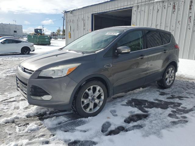 Global Auto Auctions: 2013 FORD ESCAPE
