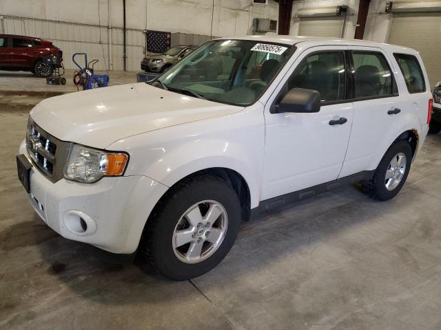 Global Auto Auctions: 2011 FORD ESCAPE XLS