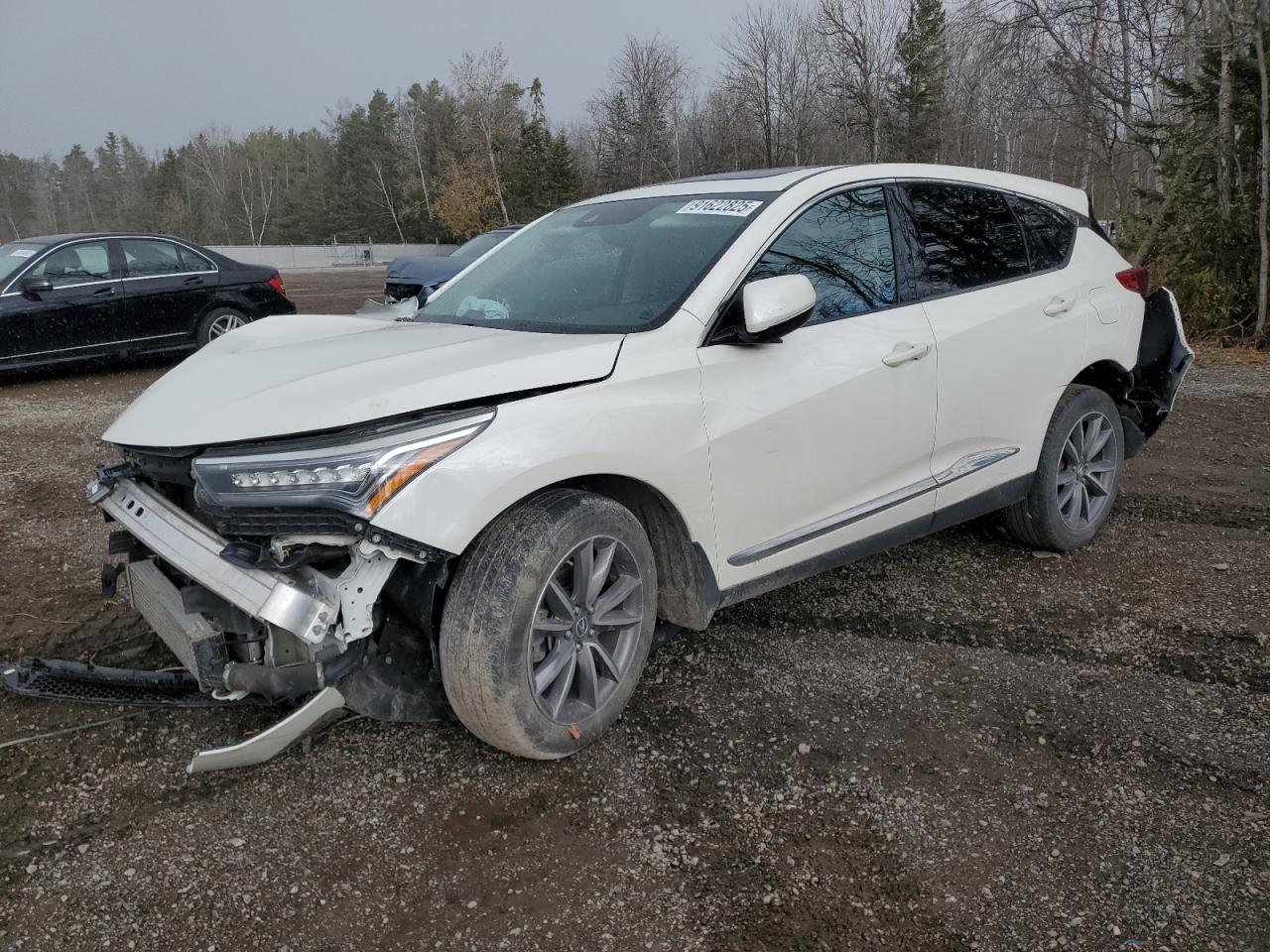 ACURA RDX ADVANCE