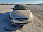 Lot #3301353395 2005 HONDA ACCORD EX