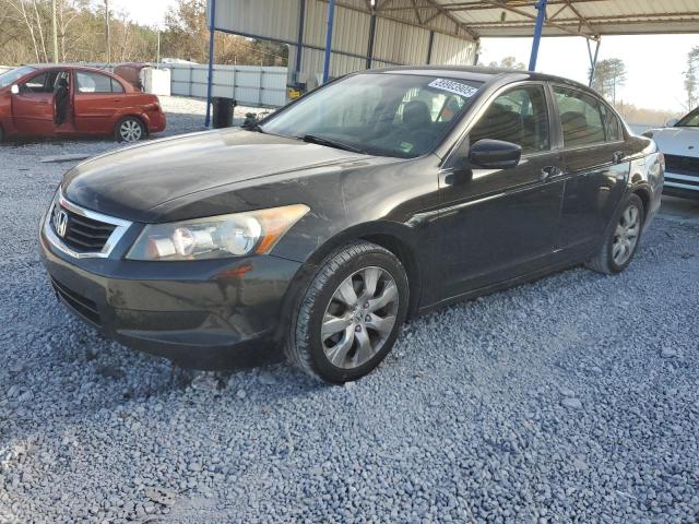 Global Auto Auctions: 2010 HONDA ACCORD EXL