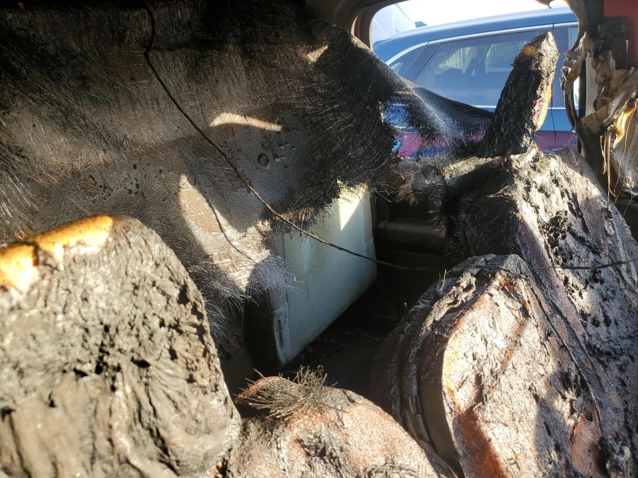 Lot #3290991506 2006 DODGE RAM 1500 S