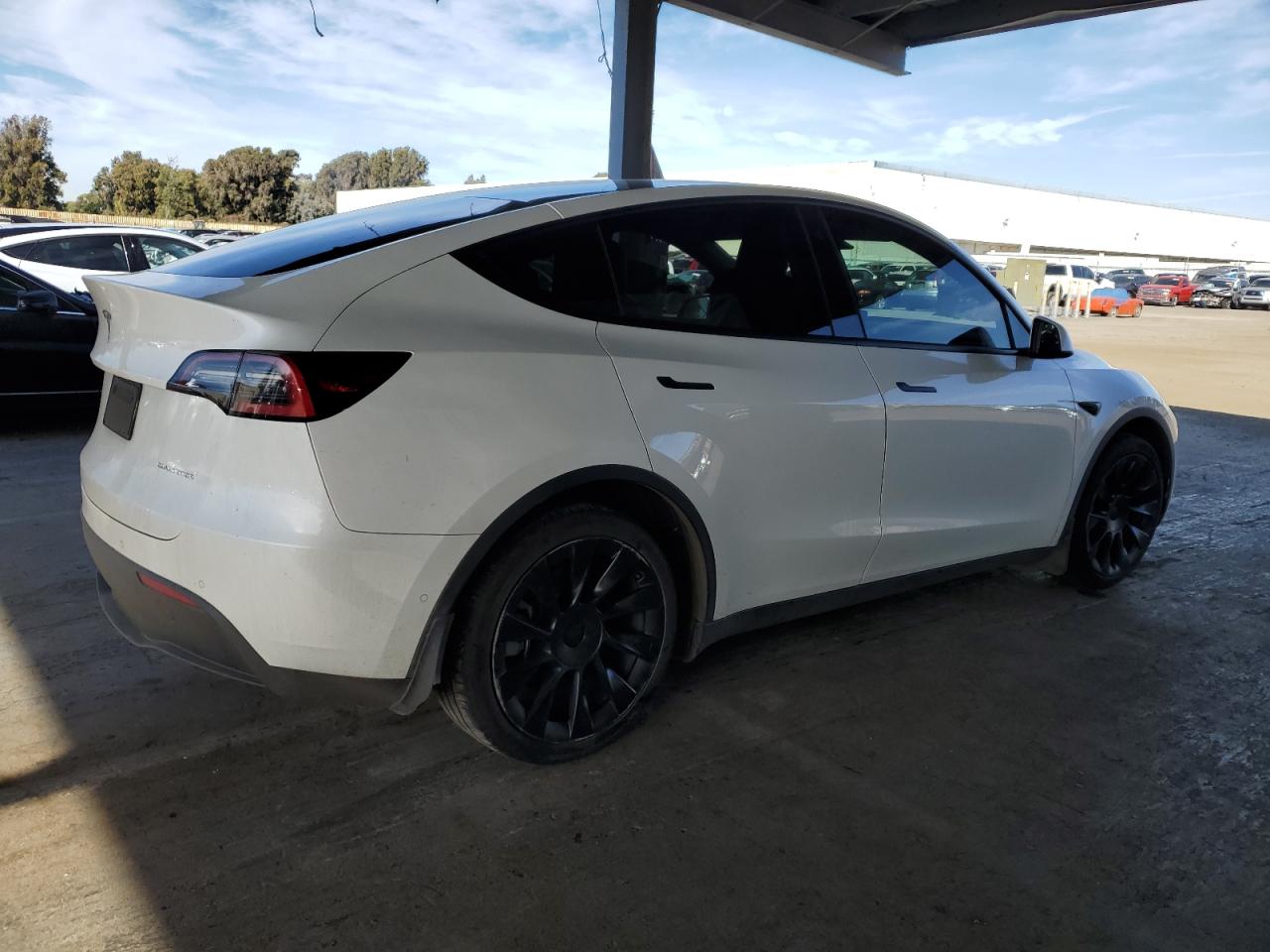 TESLA MODEL Y