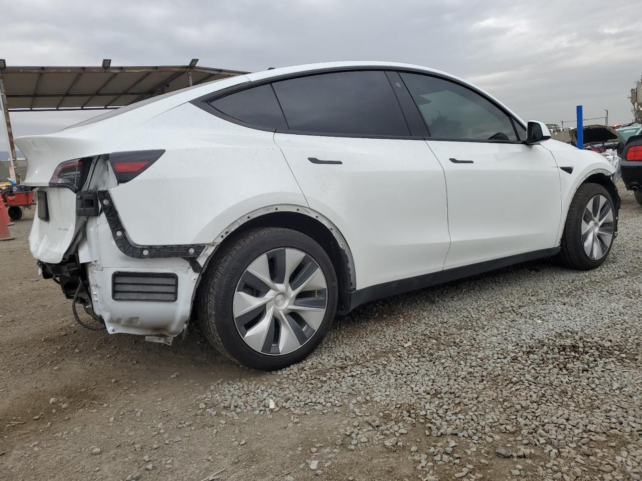 Lot #3318065382 2021 TESLA MODEL Y