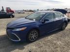 Lot #3303555032 2024 TOYOTA CAMRY XLE