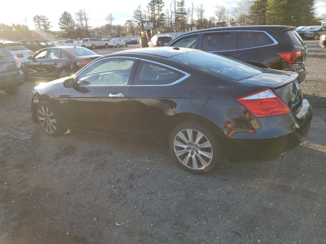 Lot #3293345424 2009 HONDA ACCORD EXL