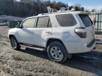 Lot #3294464507 2014 TOYOTA 4RUNNER SR