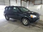 Lot #3293353422 2005 HONDA PILOT EXL
