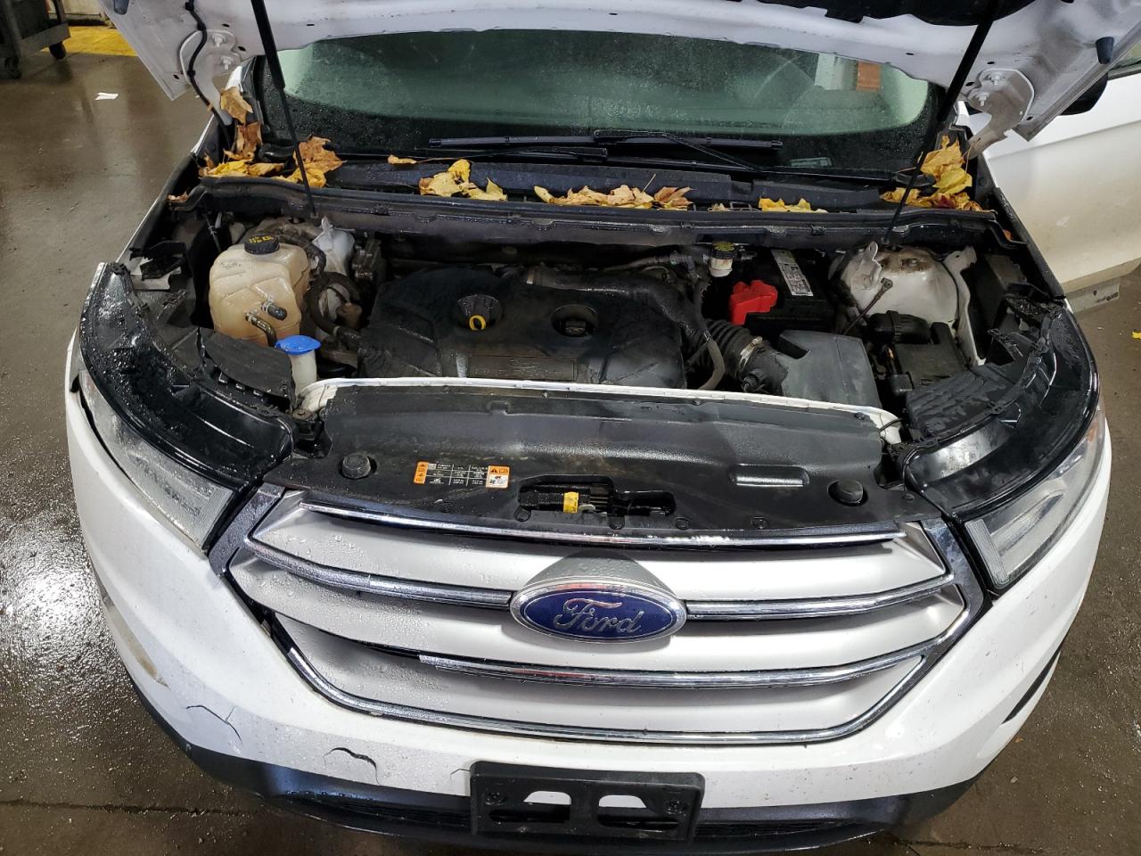 FORD EDGE SE