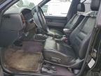 Lot #3317684186 2002 NISSAN PATHFINDER