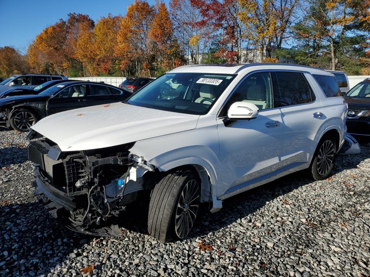 HYUNDAI PALISADE CALLIGRAPHY