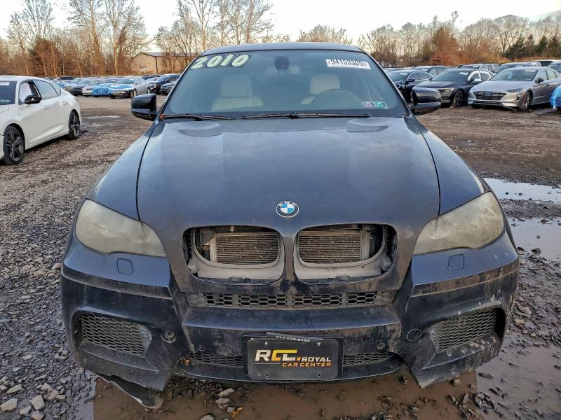 2010 BMW X6 M #3316654486