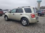 Lot #3293417071 2010 FORD ESCAPE XLT