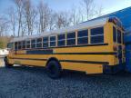 Lot #3304602490 2014 IC CORPORATION CE SERIES SCHOOL