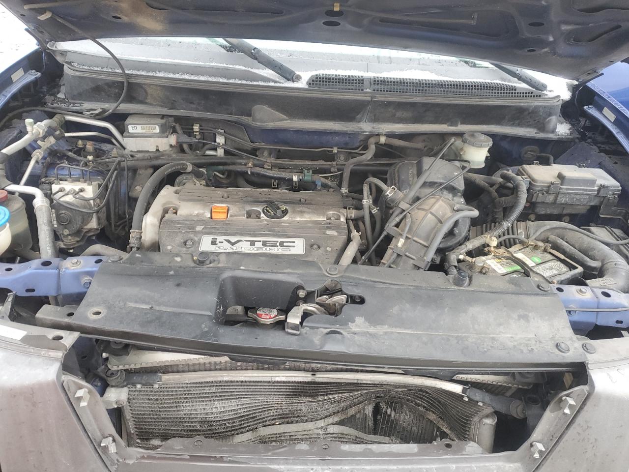 Lot #3293417069 2005 HONDA ELEMENT EX