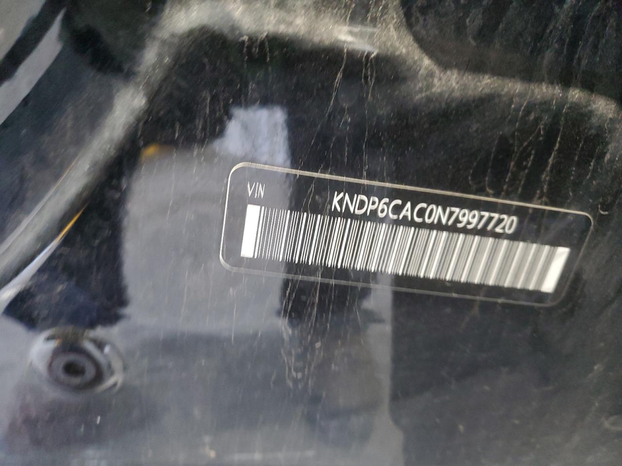 Lot #3304643965 2022 KIA SPORTAGE S