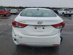 Lot #3316880109 2013 HYUNDAI ELANTRA GL