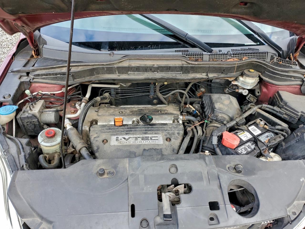 Lot #3304514446 2009 HONDA CR-V EX