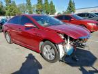 Lot #3309403003 2015 HYUNDAI SONATA HYB