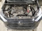 Lot #3317980944 2021 TOYOTA RAV4 XLE