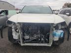 Lot #3308058182 2024 TOYOTA GRAND HIGH