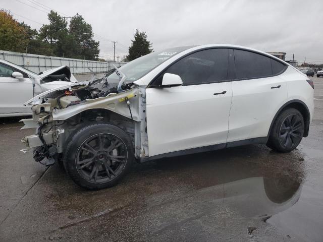 2021 TESLA MODEL Y #3301689654