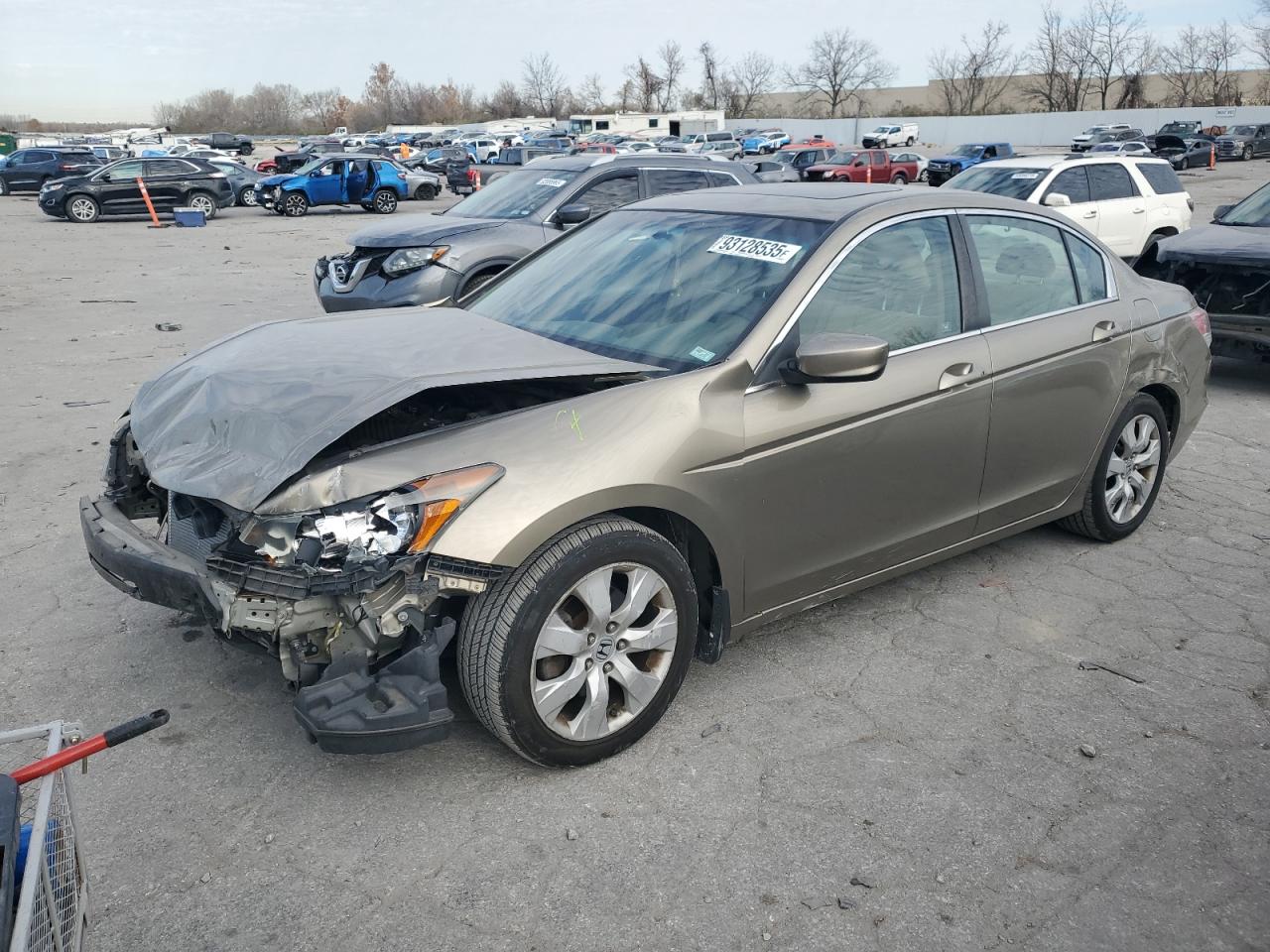 Lot #3304512436 2010 HONDA ACCORD EX