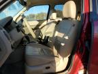 Lot #3293491441 2011 FORD ESCAPE LIM