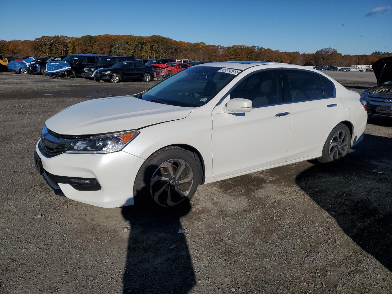 HONDA ACCORD EXL