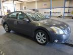 Lot #3294289899 2005 NISSAN MAXIMA SE