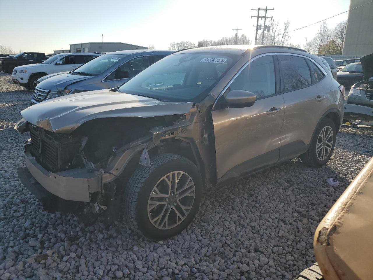 Lot #3287738177 2020 FORD ESCAPE SEL