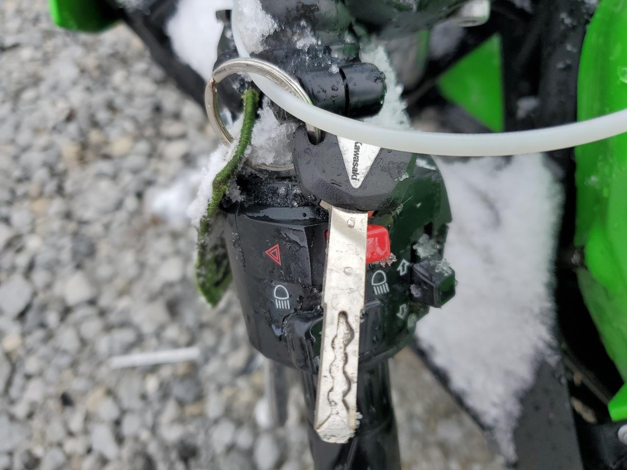 Lot #3305433473 2024 KAWASAKI EX500 H