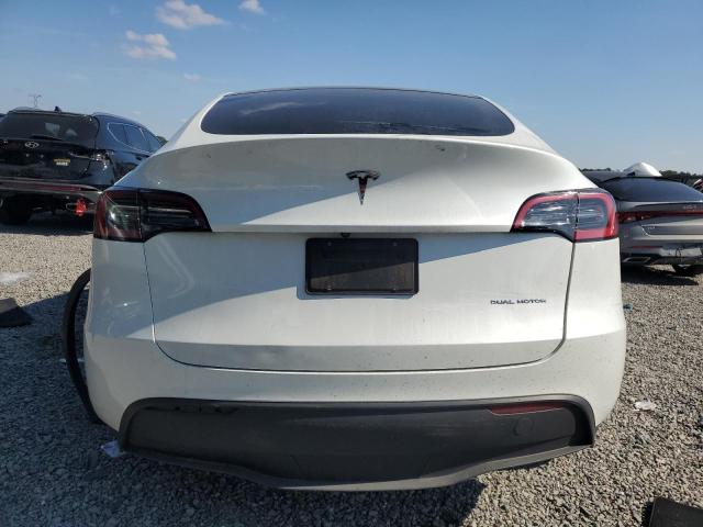2023 TESLA MODEL Y #3303885770