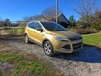 Lot #3301601639 2015 FORD ESCAPE SE