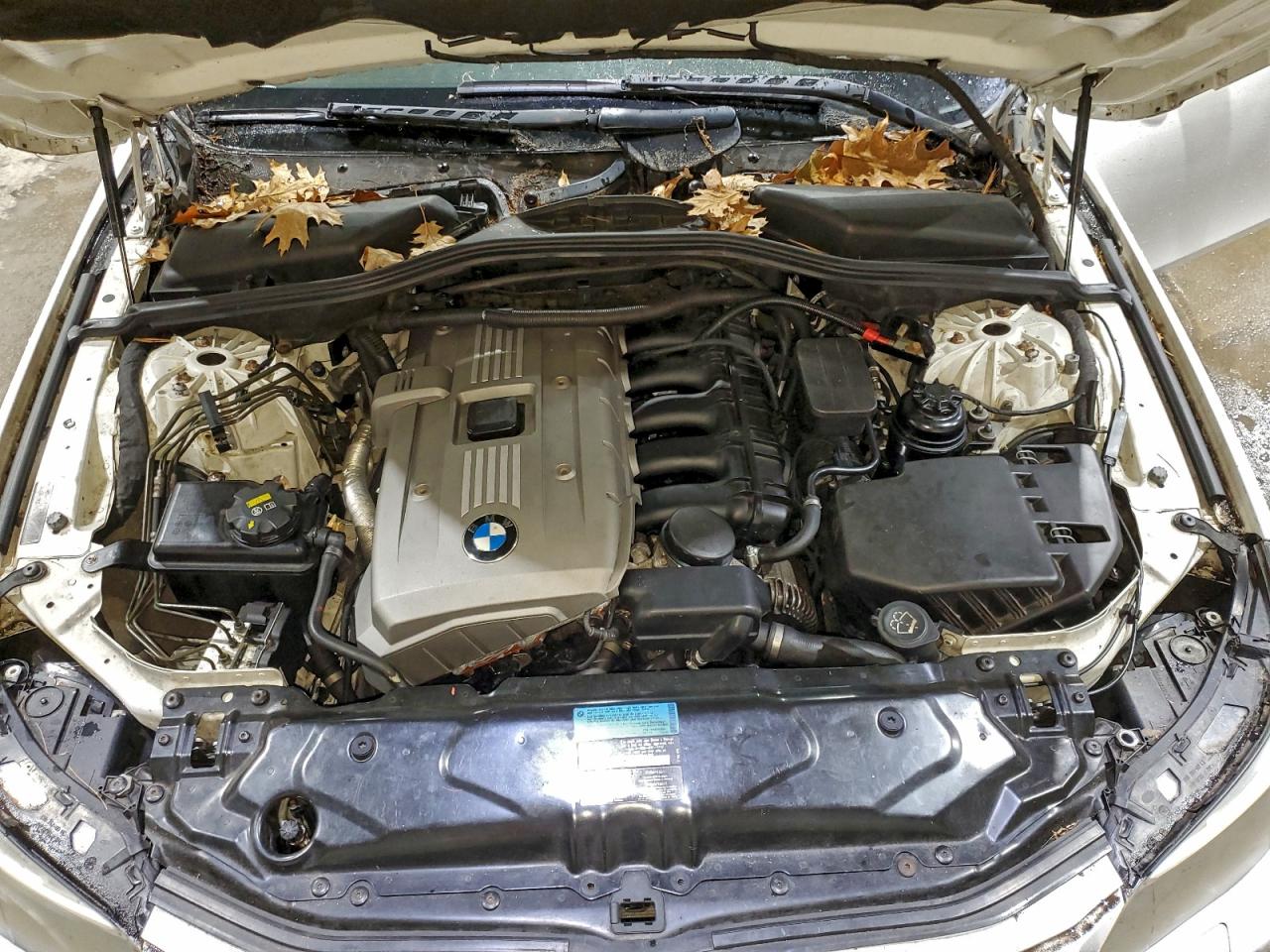 Lot #3310410960 2006 BMW 525 I