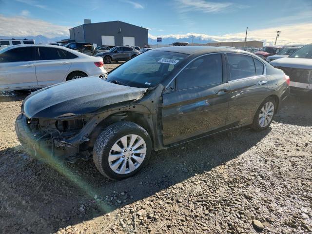 Global Auto Auctions: 2013 HONDA ACCORD EXL