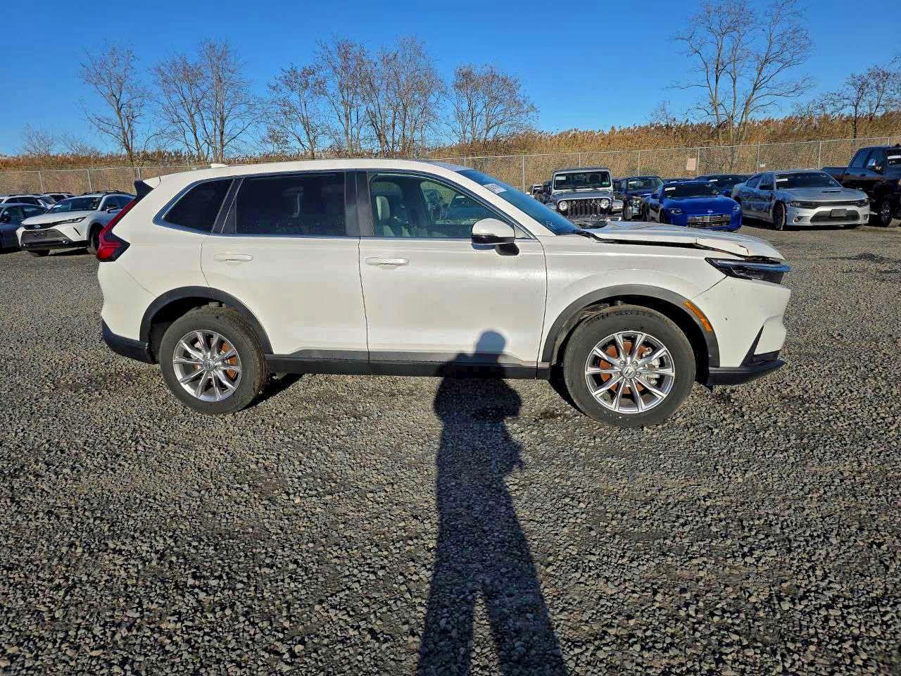 Lot #3302697052 2025 HONDA CR-V EXL