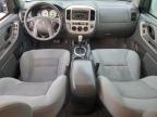 Lot #3305359304 2007 FORD ESCAPE XLT