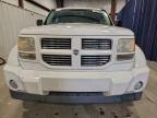 Lot #3317807117 2011 DODGE NITRO HEAT