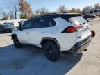 Lot #3303720418 2023 TOYOTA RAV4 XSE